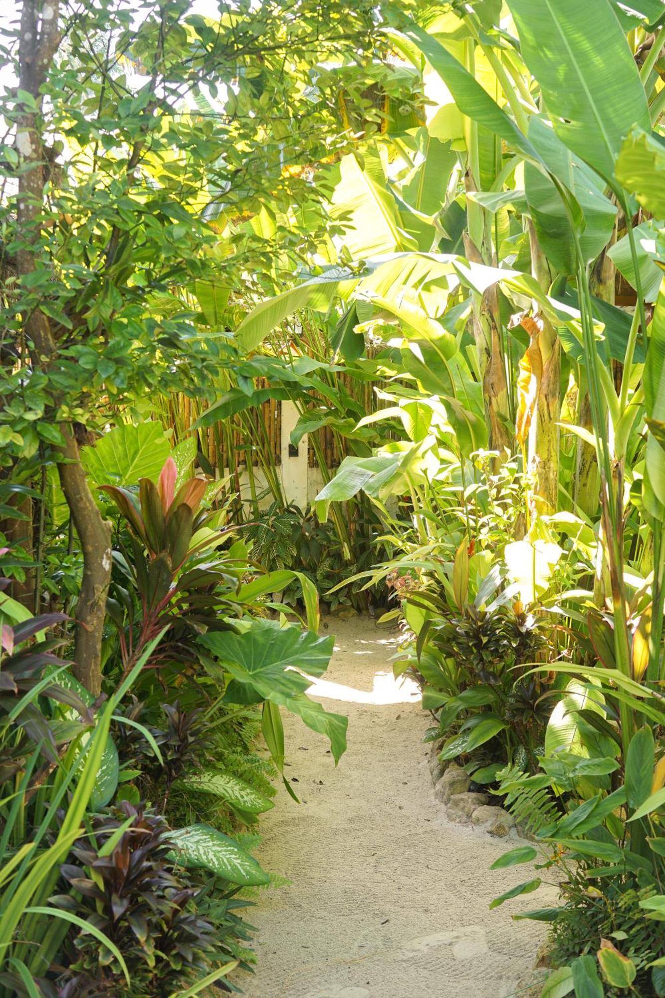 Greenhouse Siargao Roadside Boutique Apartments General Luna  Exterior foto